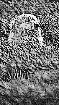Skamielina