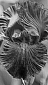 Skamielina