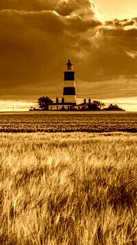 Sepia