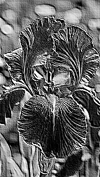 Skamielina