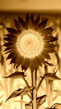 Sepia + Negatyw