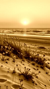 Sepia