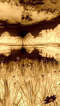 Sepia + Negatyw