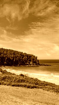 Sepia