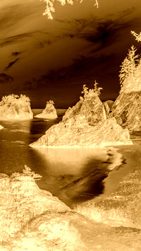 Sepia + Negatyw