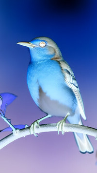 Negatyw