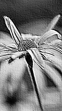 Skamielina