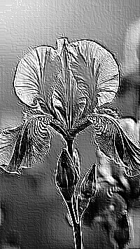 Skamielina