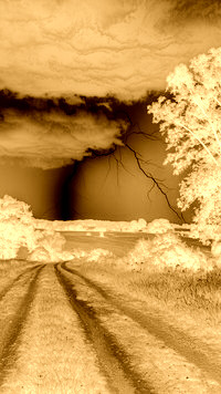 Sepia + Negatyw