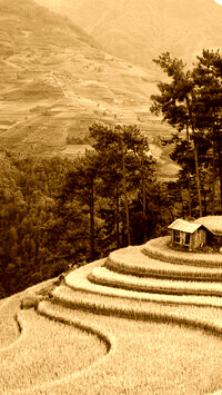Sepia
