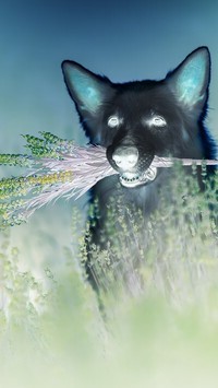 Negatyw