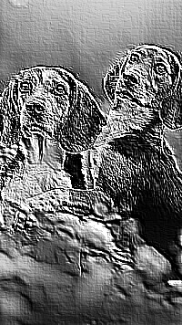 Skamielina