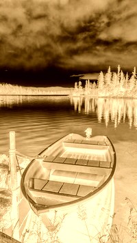 Sepia + Negatyw