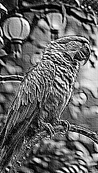 Skamielina