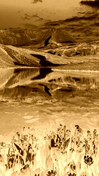 Sepia + Negatyw