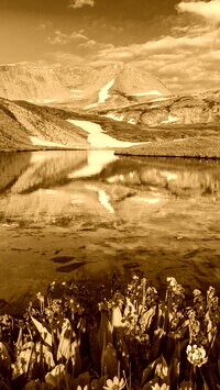 Sepia