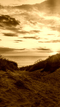 Sepia