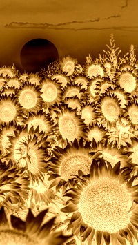 Sepia + Negatyw