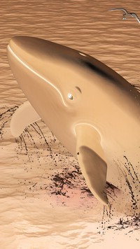 Negatyw