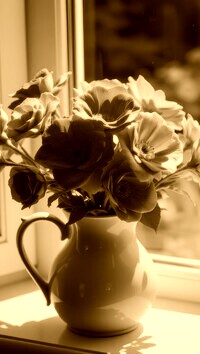 Sepia