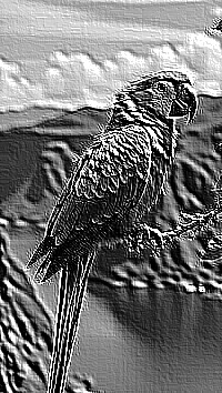 Skamielina