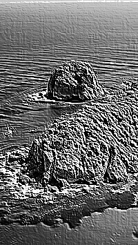 Skamielina