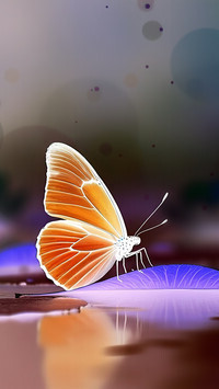 Negatyw
