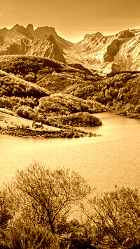 Sepia