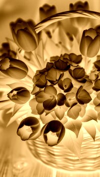 Sepia + Negatyw