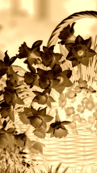 Sepia + Negatyw