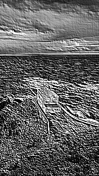 Skamielina