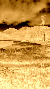 Sepia + Negatyw