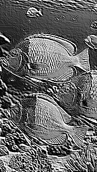 Skamielina