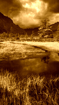 Sepia