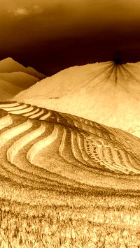 Sepia + Negatyw