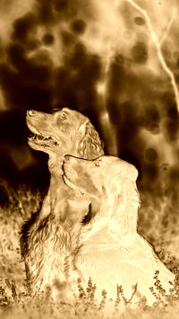 Sepia + Negatyw