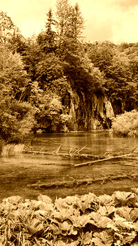 Sepia