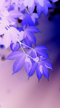 Negatyw