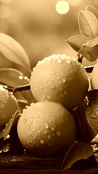 Sepia