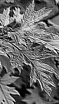 Skamielina