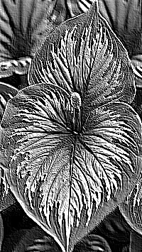 Skamielina