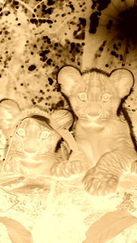 Sepia + Negatyw