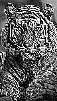 Skamielina