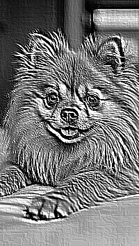 Skamielina