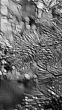 Skamielina