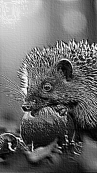 Skamielina
