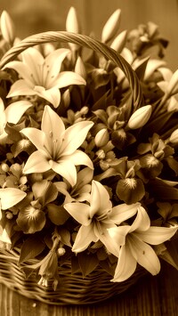 Sepia