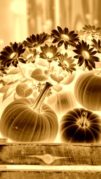 Sepia + Negatyw