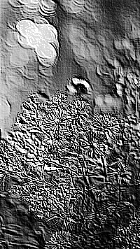 Skamielina