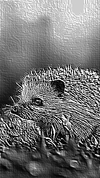 Skamielina